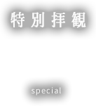 特別公開 special