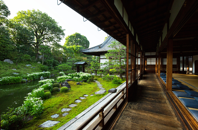 堂宇伽藍・茶室|京都建仁寺塔頭両足院|座禅体験・庭園の特別 堂宇伽藍・茶室|京都建仁寺塔頭両足院|座禅体験・庭園の特別